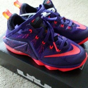 nike lebrons kids 4.5 never worn